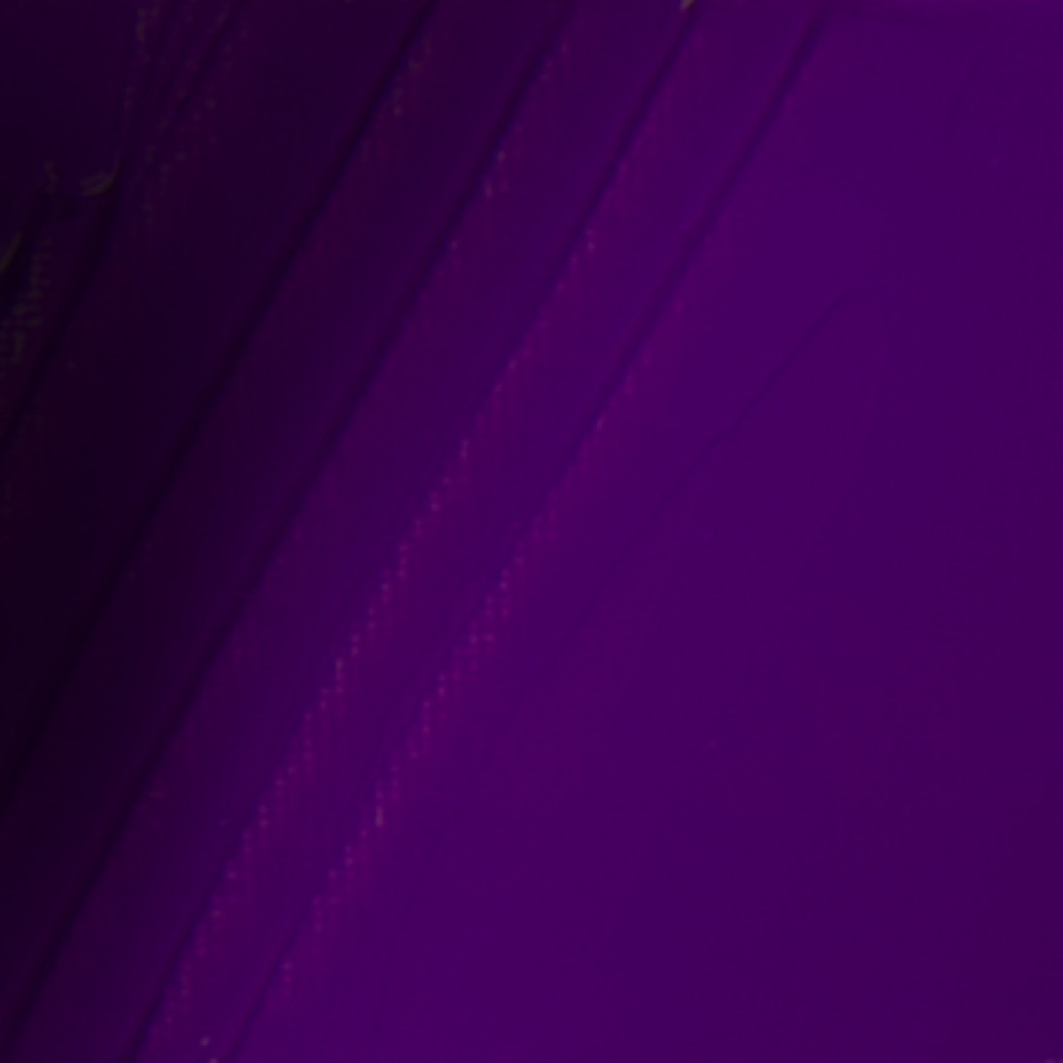 STUDIO XL FINE OIL - GARANCE(50)